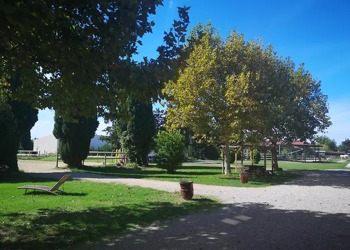 Gite Equestre En Provence Aux Pieds Des Alpilles
