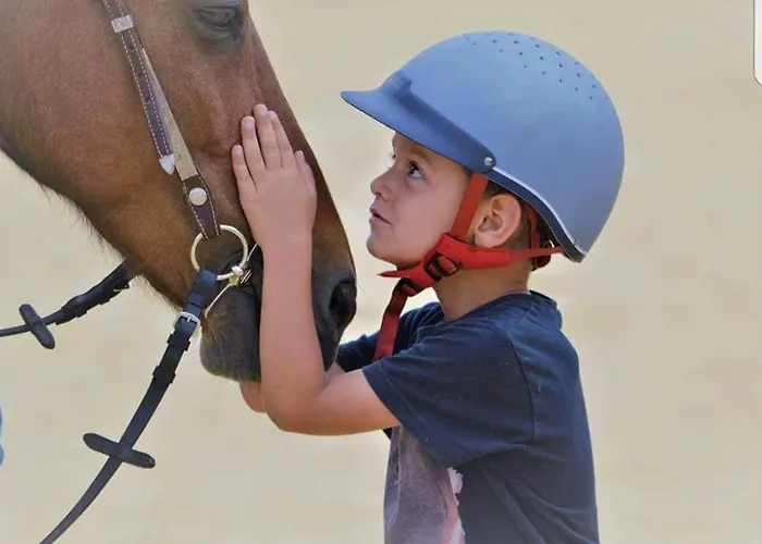 Gite Equestre En Provence Aux Pieds Des Alpilles
